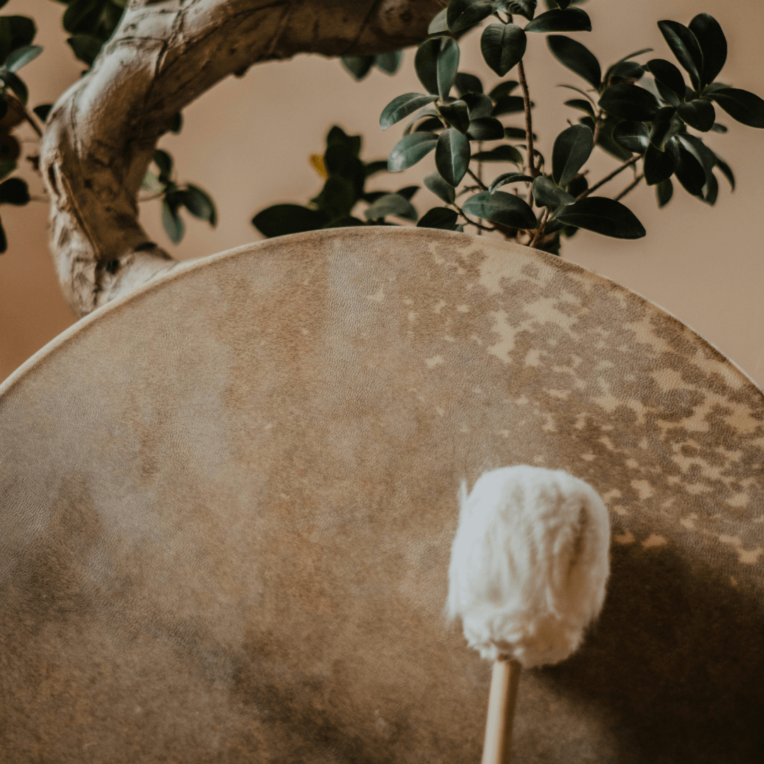 Mini-retreat met sjamanistische plantmedicijnen